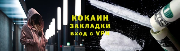 индика Сясьстрой