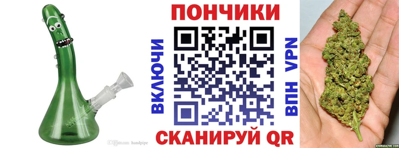 Бошки марихуана марихуана  где купить наркоту  Курчатов 